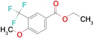 4-Methoxy-3-trifluoromethyl-benzoic acid ethyl ester