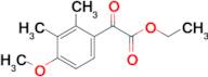 (4-Methoxy-2,3-dimethylphenyl)oxo-acetic acid ethyl ester