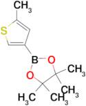 4,4,5,5-tetramethyl-2-(5-methyl-3-thienyl)-1,3,2-dioxaborolane