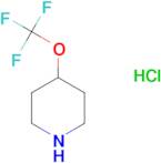 4-(Trifluoromethoxy)piperidine hydrochloride