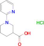 1-pyridin-2-ylpiperidine-3-carboxylic acid hydrochloride