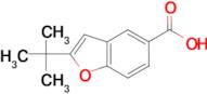 2-tert-Butyl-1-benzofuran-5-carboxylic acid