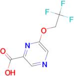 6-(2,2,2-Trifluoroethoxy)pyrazine-2-carboxylic acid