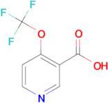 4-(Trifluoromethoxy)nicotinic acid