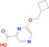 6-(Cyclobutylmethoxy)pyrazine-2-carboxylic acid