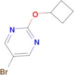 5-Bromo-2-cyclobutoxypyrimidine