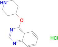 4-(Piperidin-4-yloxy)quinazoline hydrochloride