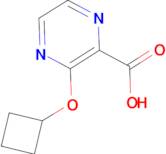 3-Cyclobutoxypyrazine-2-carboxylic acid