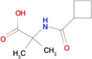 2-(Cyclobutanecarboxamido)-2-methylpropanoic acid