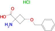 1-Amino-3-(benzyloxy)cyclobutanecarboxylic acid hydrochloride