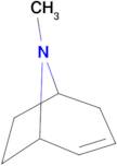 8-Methyl-8-azabicyclo[3.2.1]oct-3-ene