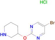 5-Bromo-2-(piperidin-3-yloxy)pyrimidine hydrochloride