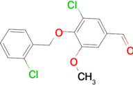 3-chloro-4-[(2-chlorobenzyl)oxy]-5-methoxybenzaldehyde