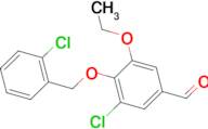 3-chloro-4-[(2-chlorobenzyl)oxy]-5-ethoxybenzaldehyde