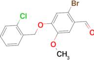2-bromo-4-[(2-chlorobenzyl)oxy]-5-methoxybenzaldehyde