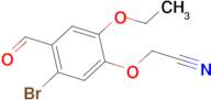 (5-bromo-2-ethoxy-4-formylphenoxy)acetonitrile