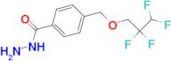 4-[(2,2,3,3-tetrafluoropropoxy)methyl]benzohydrazide
