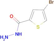4-bromothiophene-2-carbohydrazide