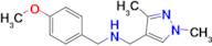 N-[(1,3-dimethyl-1H-pyrazol-4-yl)methyl]-N-(4-methoxybenzyl)amine