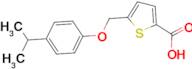 5-[(4-isopropylphenoxy)methyl]thiophene-2-carboxylic acid