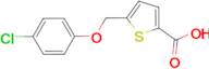 5-[(4-chlorophenoxy)methyl]thiophene-2-carboxylic acid