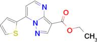 ethyl 7-thien-2-ylpyrazolo[1,5-a]pyrimidine-3-carboxylate