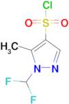 1-(difluoromethyl)-5-methyl-1H-pyrazole-4-sulfonyl chloride