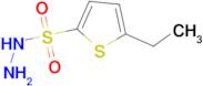 5-ethylthiophene-2-sulfonohydrazide