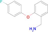 1-[2-(4-fluorophenoxy)phenyl]methanamine