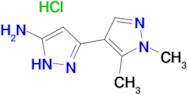 1',5'-dimethyl-1H,1'H-3,4'-bipyrazol-5-amine