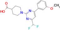 1-[4-(difluoromethyl)-6-(3-methoxyphenyl)pyrimidin-2-yl]piperidine-4-carboxylic acid