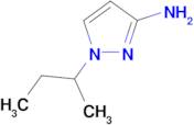 1-sec-butyl-1H-pyrazol-3-amine