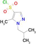 1-isobutyl-5-methyl-1H-pyrazole-4-sulfonyl chloride