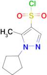 1-cyclopentyl-5-methyl-1H-pyrazole-4-sulfonyl chloride