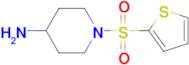 1-(thien-2-ylsulfonyl)piperidin-4-amine