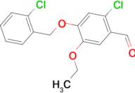 2-chloro-4-[(2-chlorobenzyl)oxy]-5-ethoxybenzaldehyde