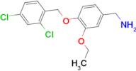 1-{4-[(2,4-dichlorobenzyl)oxy]-3-ethoxyphenyl}methanamine