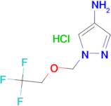 1-[(2,2,2-trifluoroethoxy)methyl]-1H-pyrazol-4-amine