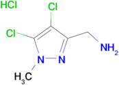 (4,5-dichloro-1-methyl-1H-pyrazol-3-yl)methylamine hydrochloride