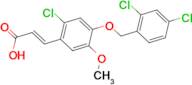 (2E)-3-{2-chloro-4-[(2,4-dichlorobenzyl)oxy]-5-methoxyphenyl}acrylic acid