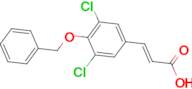 (2E)-3-[4-(benzyloxy)-3,5-dichlorophenyl]acrylic acid