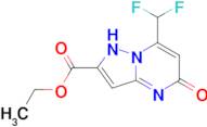 ethyl 7-(difluoromethyl)-5-oxo-4,5-dihydropyrazolo[1,5-a]pyrimidine-2-carboxylate