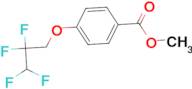 methyl 4-(2,2,3,3-tetrafluoropropoxy)benzoate