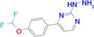 4-[4-(difluoromethoxy)phenyl]-2-hydrazinopyrimidine