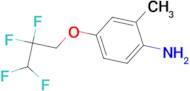 2-methyl-4-(2,2,3,3-tetrafluoropropoxy)aniline