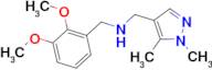 N-(2,3-dimethoxybenzyl)-N-[(1,5-dimethyl-1H-pyrazol-4-yl)methyl]amine