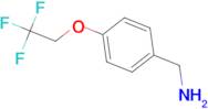 1-[4-(2,2,2-trifluoroethoxy)phenyl]methanamine