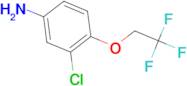 3-chloro-4-(2,2,2-trifluoroethoxy)aniline