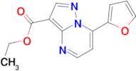 ethyl 7-(2-furyl)pyrazolo[1,5-a]pyrimidine-3-carboxylate