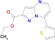 ethyl 7-thien-2-ylpyrazolo[1,5-a]pyrimidine-2-carboxylate